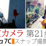 【SONY a7C】東京カメラ021『巣鴨、SONY α7Cでスナップ撮影』～パティスリー・Hiyamaの極スフレチーズはうまい！～実践レビュー 写真家/加藤ゆかの東京スナップ