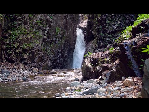 【瞑想】滝の音を聴いて15分間瞑想する動画