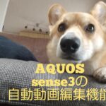 第63回 AQUOS sense3 自動動画編集機能使ってみた