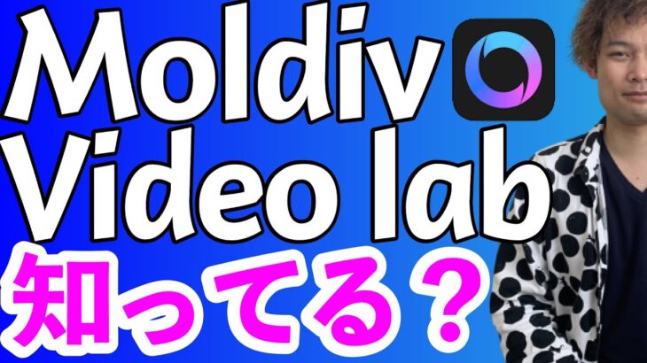 【スマホで動画編集】MOLDIV videolabというアプリを使ってみた