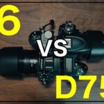 【Z6とD750】どちらがおすすめ？カメラ比較して自分に合うのはどれ？