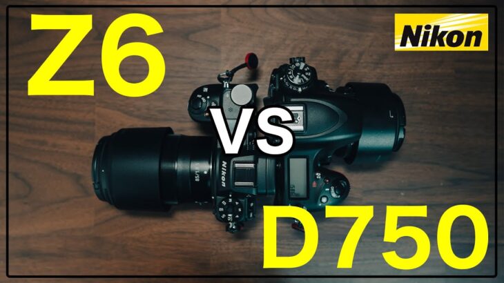 【Z6とD750】どちらがおすすめ？カメラ比較して自分に合うのはどれ？