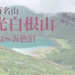 【登山初心者向け】日光白根山2021/07/22