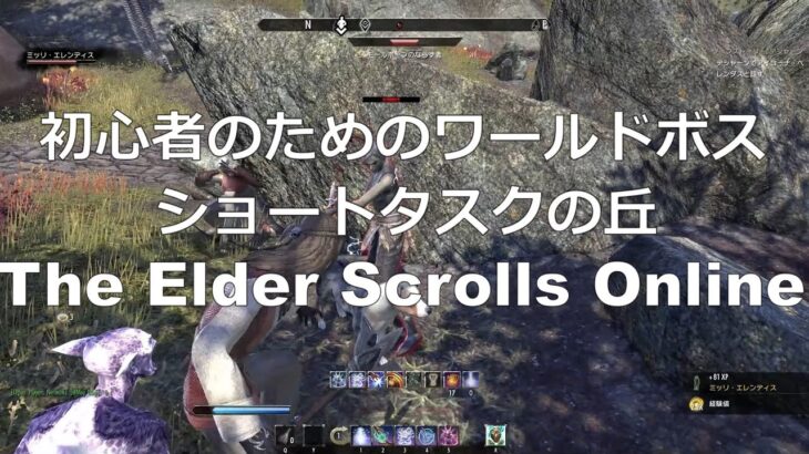 初心者のためのワールドボス　＃The Elder Scrolls Online