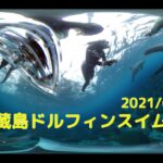 2021/6/24~27 PSC御蔵島ドルフィンスイムツアー 360°動画