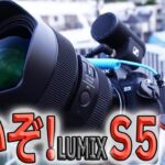 【使いやすい！】「LUMIX S5」おすすめフルサイズカメラ1年間使い良し悪しを検証【コンパクトなフルサイズ】
