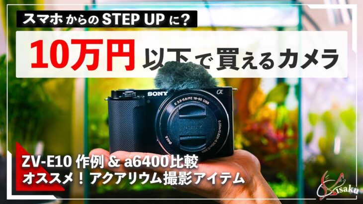 【アクアリウム作例あり】10万円以下で買えるおすすめカメラ『ZV-E10』【a6400との比較＆アクアリウム撮影に使えるオススメアイテム】