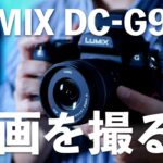 LUMIX DC-G99でのおすすめ動画撮影方法「マイクロフォーサーズを見捨てないで」