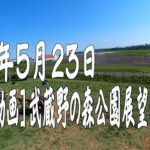 ［360度動画］ 武蔵野の森公園・展望の丘 ［5K］ 202105231435