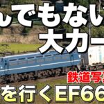 【鉄道写真】東海道本線撮影名所！カナキク大カーブを行くEF66 27を狙う！