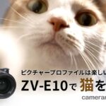 【猫動画】SONY ZV-E10で猫を撮る～ピクチャープロファイルは楽しいにゃ！編