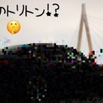 【Y51フーガ】関西 おすすめ愛車撮影スポット#1 ほぼ走行動画