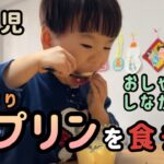 #8【育児　vlog】3歳児手作りプリンを食う！【スマホで動画撮影、動画編集】