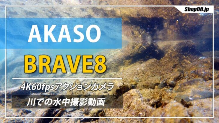 【アクションカメラ】AKASO BRAVE8の4K水中撮影動画
