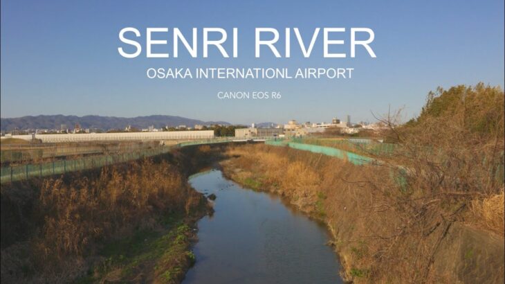 【CANON R6 動画】SENRI RIVER 千里川の景色