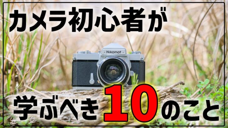 【初心者おすすめ】カメラを買ったら10のことを学んで写真を楽しむ方法 2022版