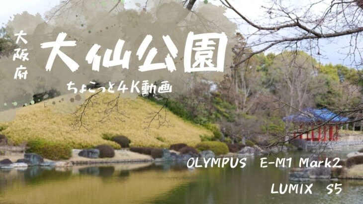 大阪・堺の大仙公園でちょこっとだけ動画撮影。2台のカメラの4K動画を見比べてみます。