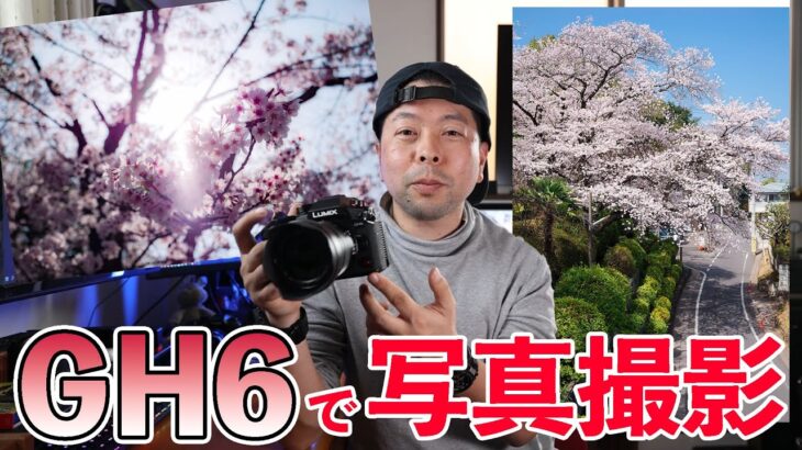 【カメラ】写真撮影機としてGH6は使えるのか？ハイレゾショットや使い勝手など確認してみた！
