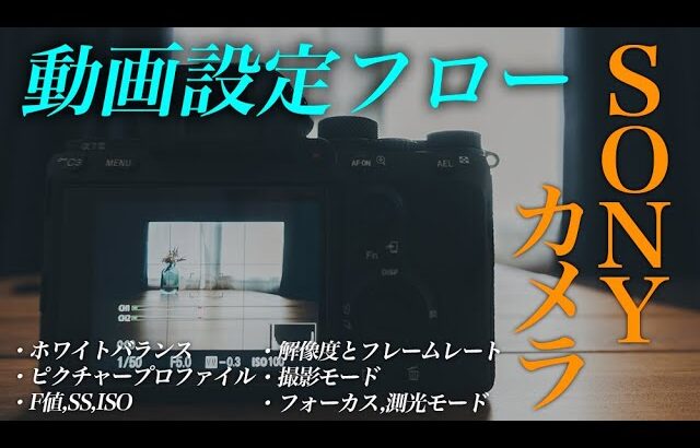 SONYカメラの『動画設定フロー』｜設定の流れを分かりやすく解説！解像度,FR,WB,F値,SS,ISOなど