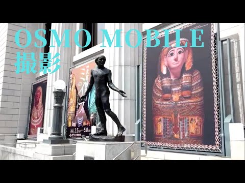 osmo mobileで三宮、元町界隈を散歩撮影　iPhone動画体験講座　オンライン開催