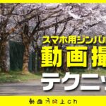 【桜を撮ろう】スマホ用ジンバルを使った動画撮影テクニック