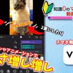 スマホ無料アプリ「VN」の使い方その②テロップとアニメーション OHY勉強会12 105杯目(おひや人数分)