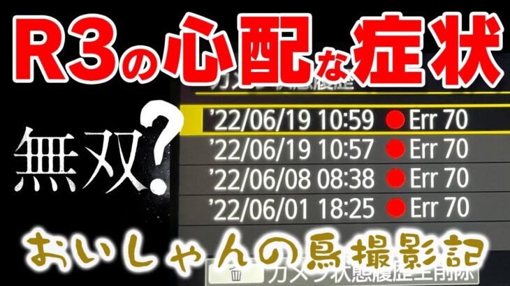 【EOS R3 心配な症状】今回は撮影機材のお話　CANON EOS R3に関する情報共有動画となります Err 70【おいしゃんの鳥撮影紀　No.2】