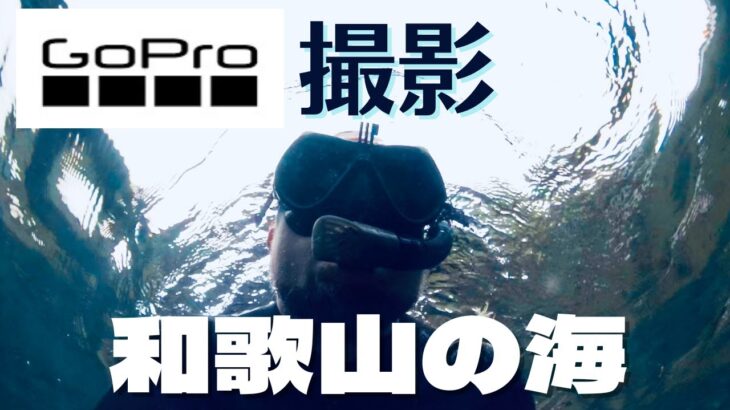 海の中をGoProで撮影　お客様の新事業　動画を楽しみ隊　宝塚市