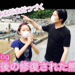 【スマホvlog】震災後の修復された熊本城をたずねて｜思い出を残すならCM風動画｜スマホの動画をCMっぽく動画編集しました｜シンプルな映像