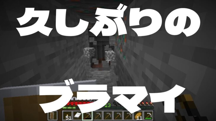 久しぶりのブランチマイニング　初心者マイクラハードコア挑戦　樽型坊主　8月29日　#169