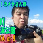 オススメ！カメラさんぽ　MINOLTA α-9撮影　東京都　若洲海浜公園