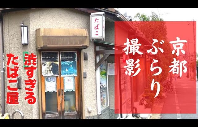 京都ぶらりiPhone撮影　中小企業専門　初めての動画づくりをサポート　宝塚市
