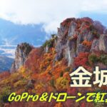 20221030 紅葉の金城山（GoPro＆ドローン撮影動画）