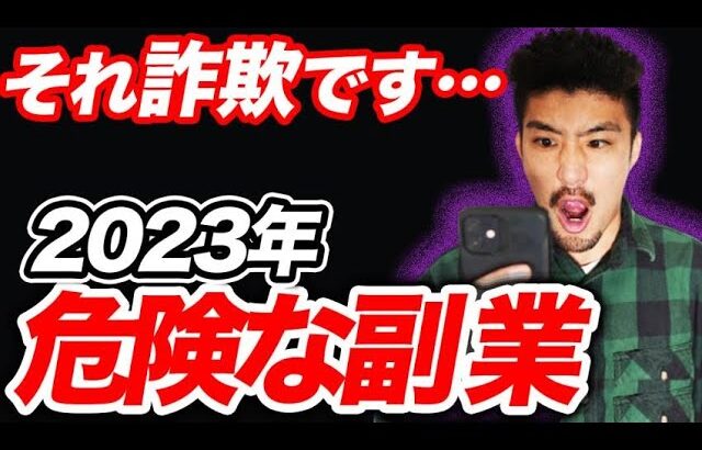 【詐欺です】2023年マジで危険な副業を紹介!!スマホだけで簡単に稼げる副業はすべて嘘です…【初心者向け】【フリーランス】