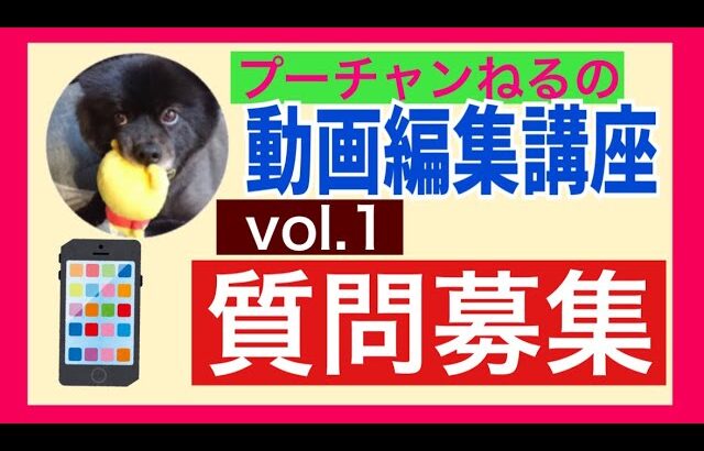 【スマホ用動画編集講座スタート‼️】聞きたいこと大募集　コメント欄に書いてくださいね　プーチャンネねるはiPhoneです