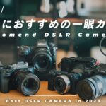 【2023年一眼カメラおすすめ5選】これから買うのにピッタリのカメラ、予算別に紹介します！