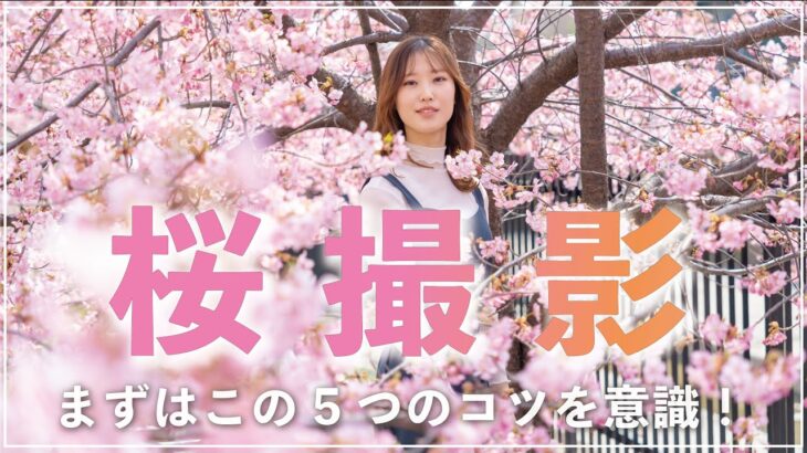 【これで失敗しない！】桜の写真 動画撮影のコツ教えます！【風景 ポートレート】 │ 撮影テクニック動画まとめch