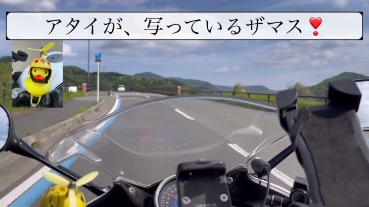 【走行動画】CBR250Rによるスマホチェストハーネスベルトのテスト走行動画です。