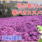 【カメラ初心者さん向け】春のオススメ被写体！芝桜撮影