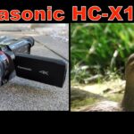 Panasonic HC-X1500 Sample footage 2 (Zoom, Stabilization) 新しく導入した動画撮影機材でズームと手ぶれ補正を検証する　TRIBLOG 219