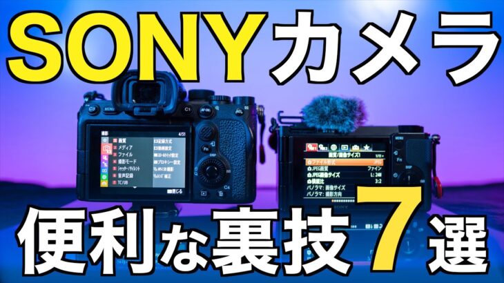 【使いこなそう】ソニーのカメラの動画撮影で使える超便利な裏技７選！　A7IV ZV-E10 A7III A7SIII FX30など、SONYのミラーレスユーザー必見！