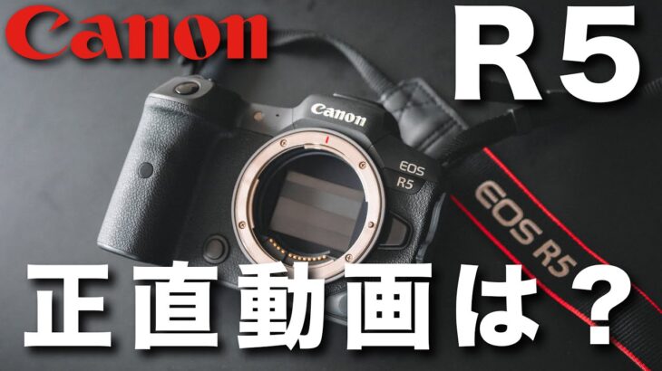 【Canon R5】8K撮影出来るR5の動画機としてのメリット・デメリット