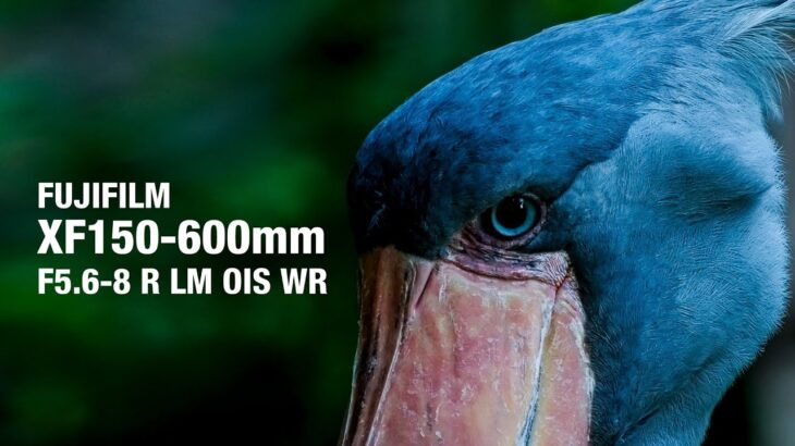 フジフイルムの超望遠レンズXF150-600mmで動画撮影に挑戦してみた。上野動物園で初シューティング！
