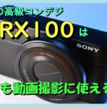 SONYの高級コンデジ 初代RX100は今でも動画撮影に使えるか？