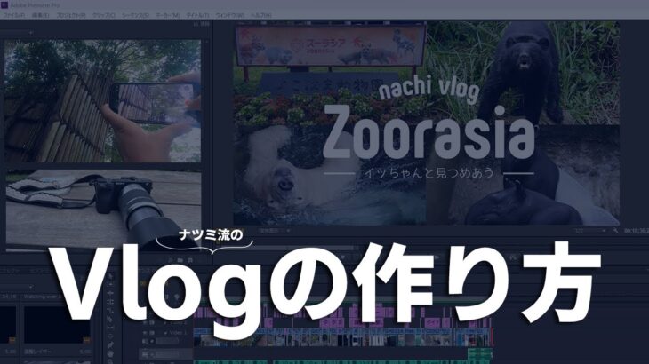 〈ナツミ的vlogの作り方〉撮影の仕方 / 使っている機材 / 編集方法 / 雑談しながらまったりと〈初心者向け〉