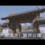 撮影風景動画シリーズ　2023.11.26 大津〜湖南市長寿寺