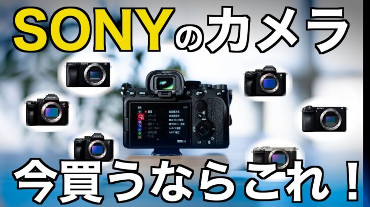 【2024年版】目的別ソニーのおすすめカメラ！初心者向けに選び方とおすすめ機種を徹底解説！