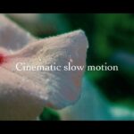 【動画制作】スローモーションでシネマティックな雰囲気を出す撮影・編集テクニック