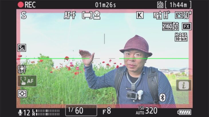 Nikon Z f 明るい昼間の野外撮影時におすすめの撮り方と設定について