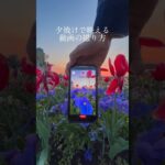 【衝撃】夕焼けで映える動画の撮り方🌇 #shorts #動画撮影 #動画編集 #撮影テクニック